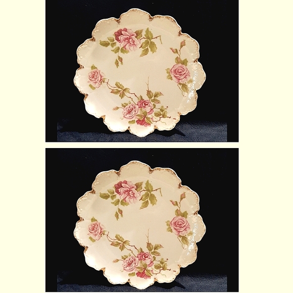 R.C. Malmaison Other - 2 Malmaison Bavaria Hand Painted Floral Plates